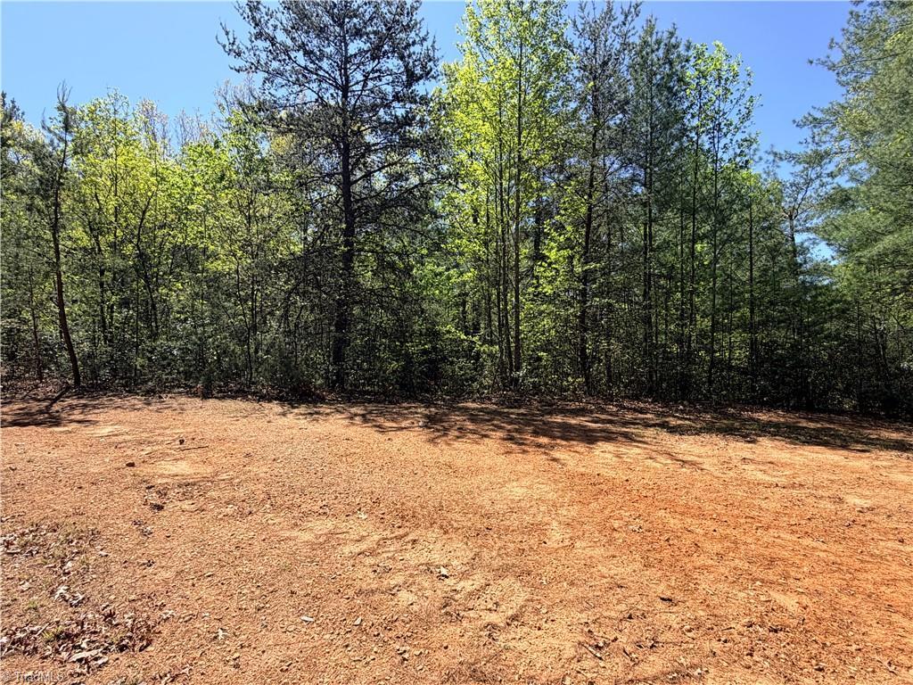 Image 4: Cleared Building Site