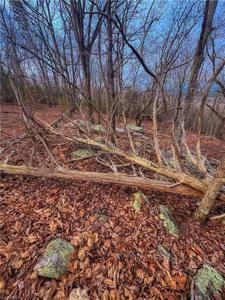 2243 Sierra Trace Road