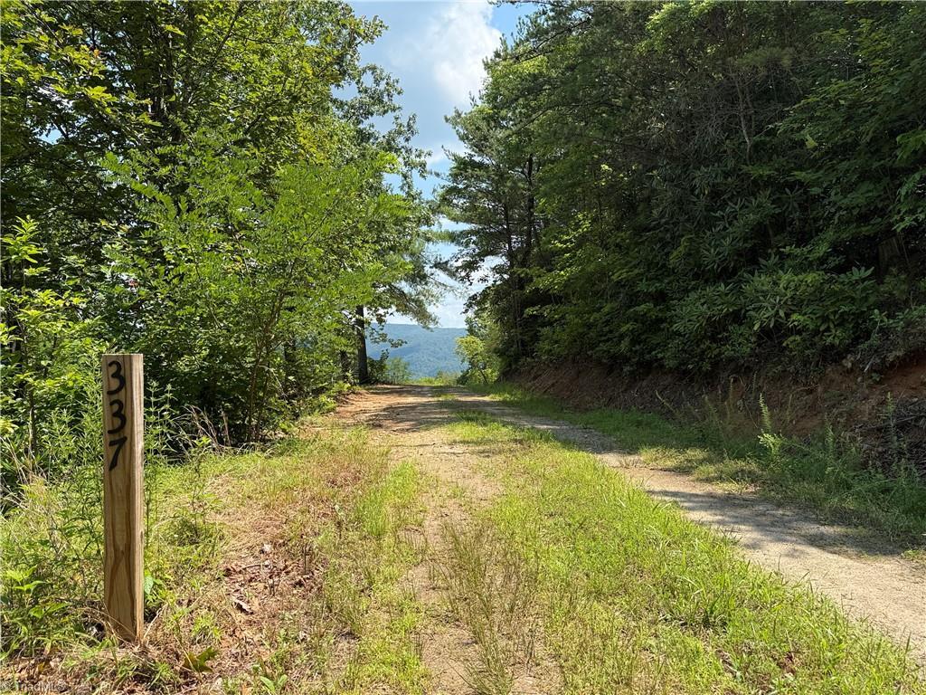 Image 2: 337 Lucas Path Drive
