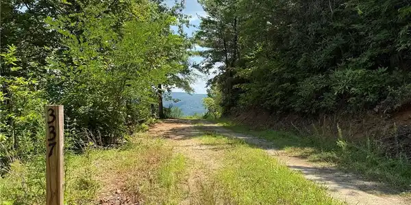 Image 2: 337 Lucas Path Drive