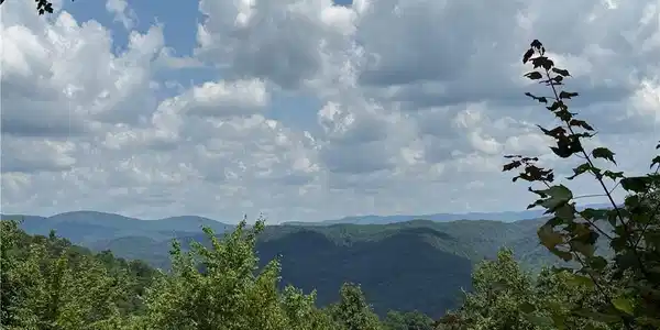 Image 3: View from 337 Lucas Path Drive