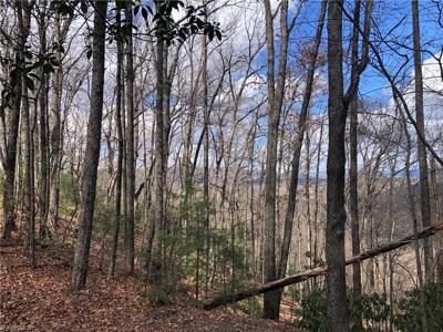 Lot 21 Bobcat Mountain Road