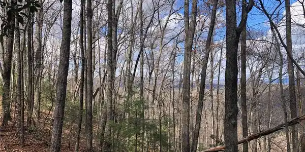 Lot 21 Bobcat Mountain Road