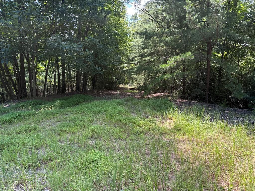 Image 4: Lot 102