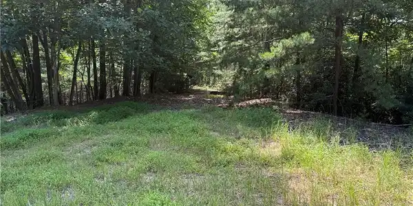 Image 4: Lot 102