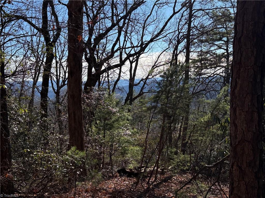 Image 2: View Lot in Buck Mtn