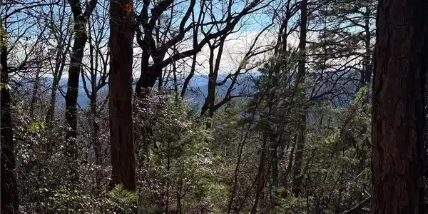 Image 2: View Lot in Buck Mtn
