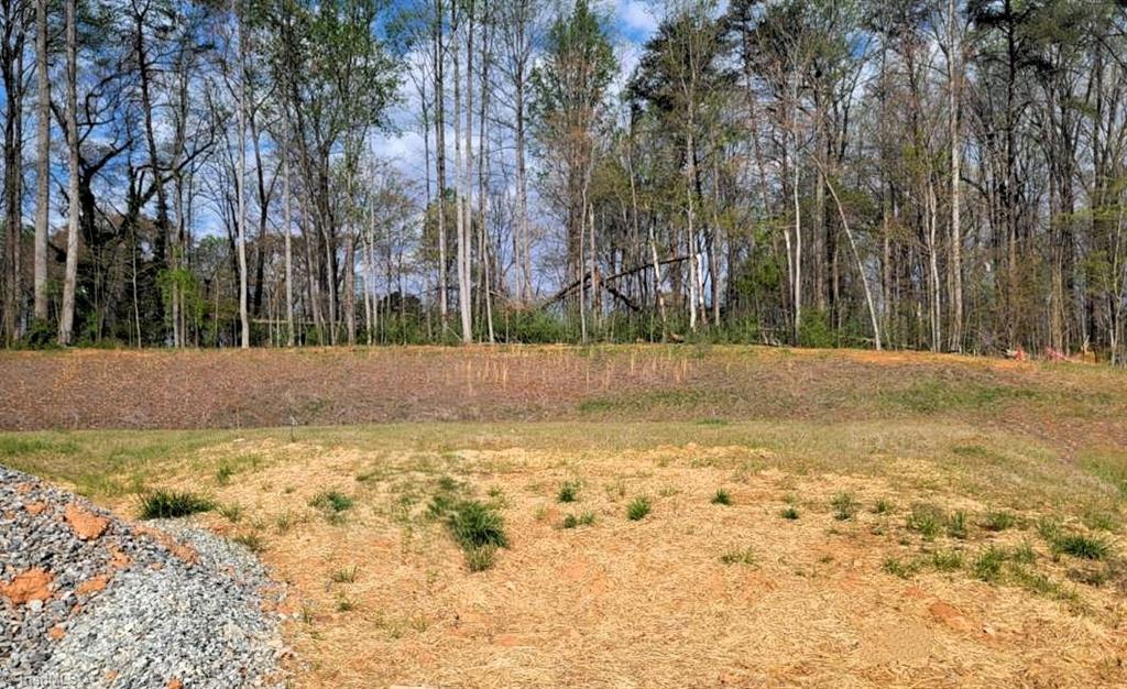 Image 3: Cleared lot, ready for construction. See Completion Date.