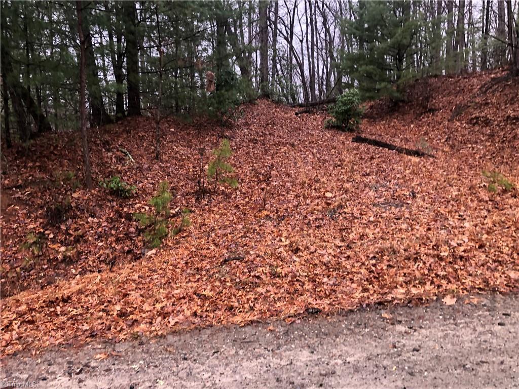 Image 3: Gravel driveway in place
