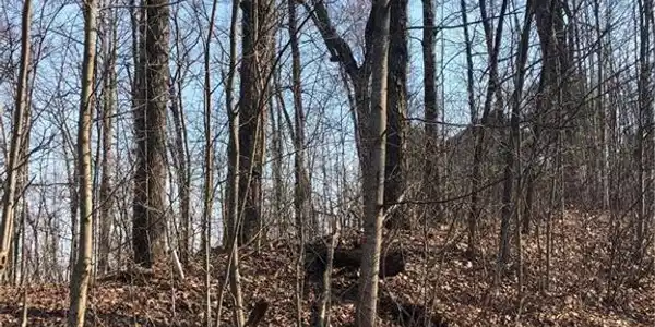 0 Ash Branch View