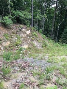 TBD Sheets Gap Road