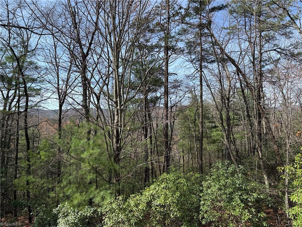 Image 2: Lot 213 Casey Mountain Road