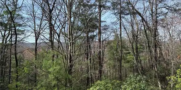 Image 2: Lot 213 Casey Mountain Road