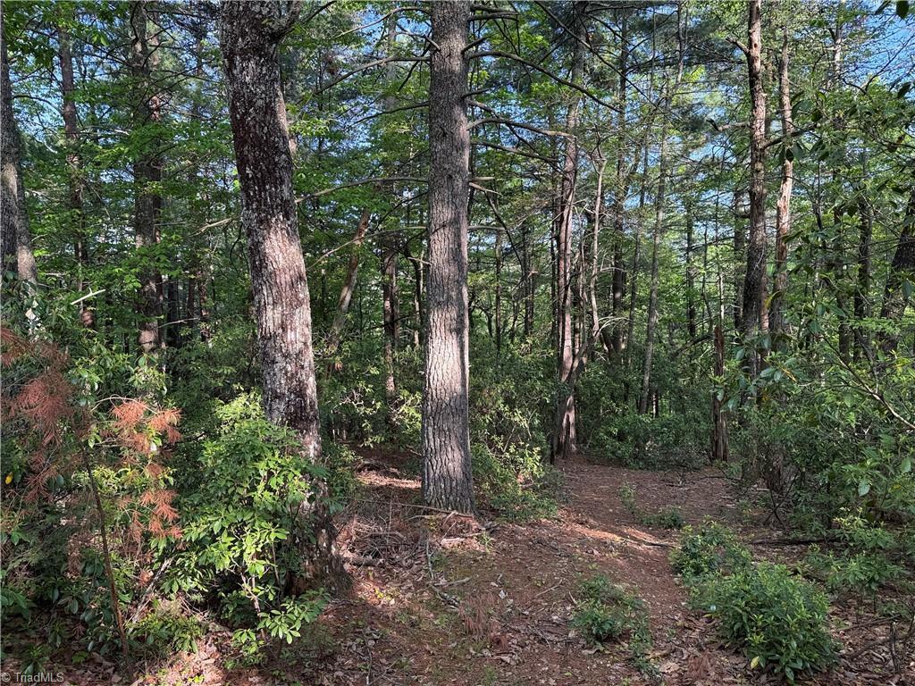 Image 3: Lot 27 - 11.8 acres