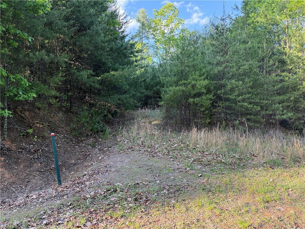 Image 4: Deeded 45' Right of Way to Lot 27 Wolf Pen Road