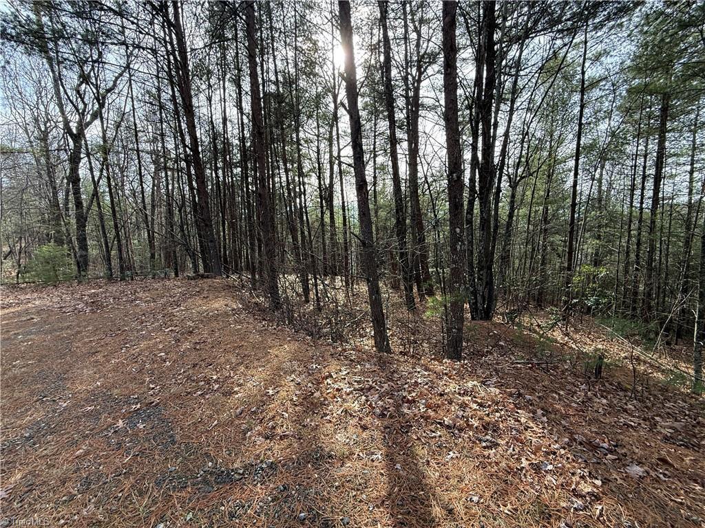 Image 4: Lot 21 is easily accessible.