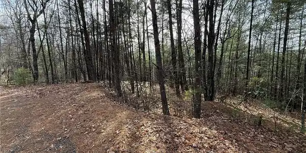 Image 4: Lot 21 is easily accessible.