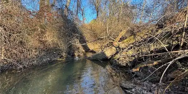 Image 3: Little Beaver Creek