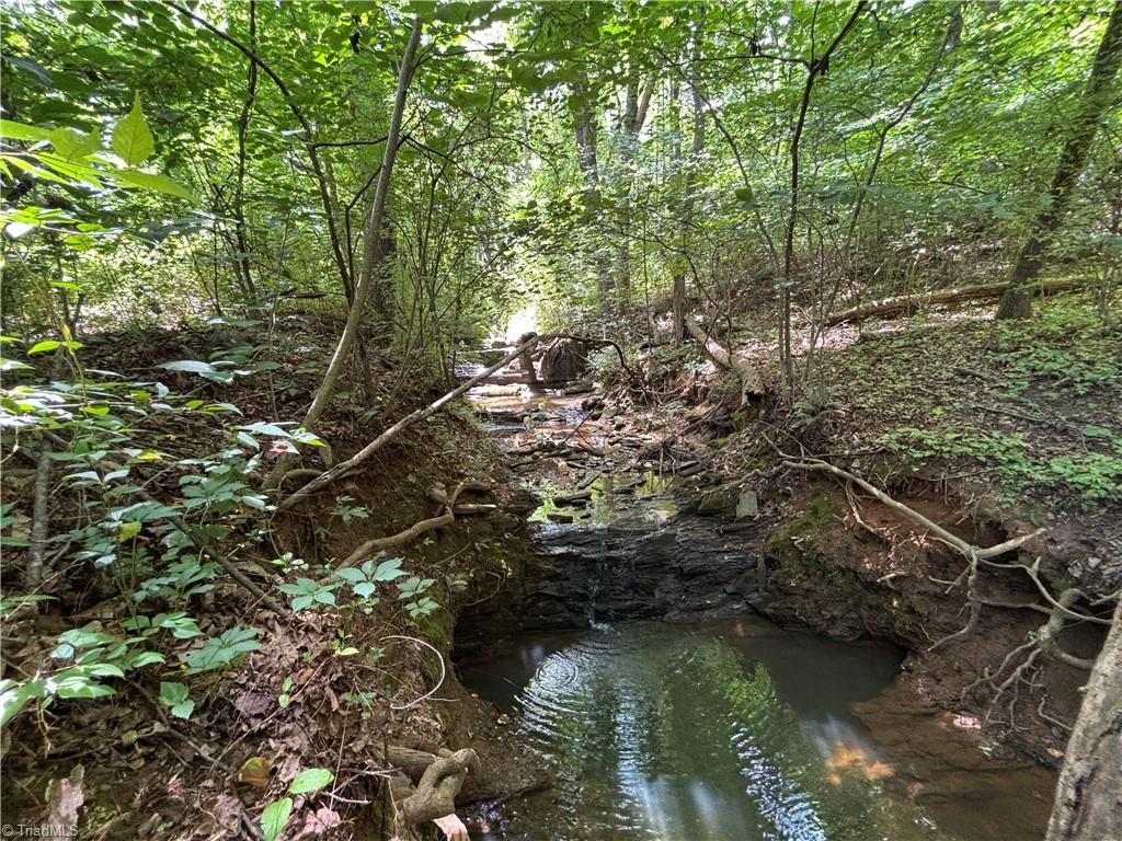 Image 4: Little Beaver Creek