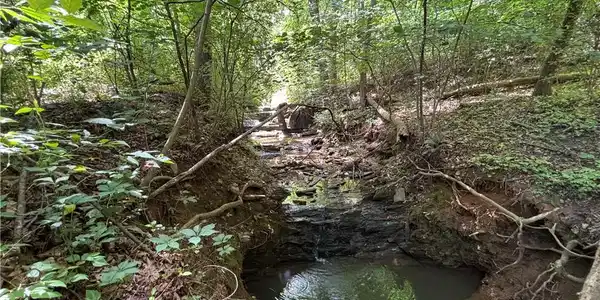 Image 4: Little Beaver Creek