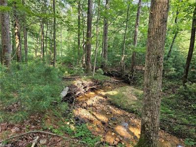Lot 82 TBD Mcintosh Drive