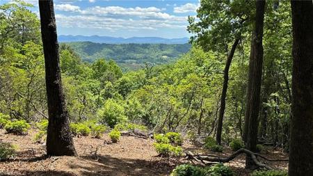 T23 Widow Mountain Drive