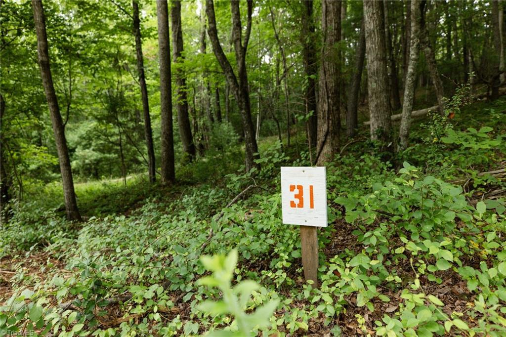 Image 1: Lot 31