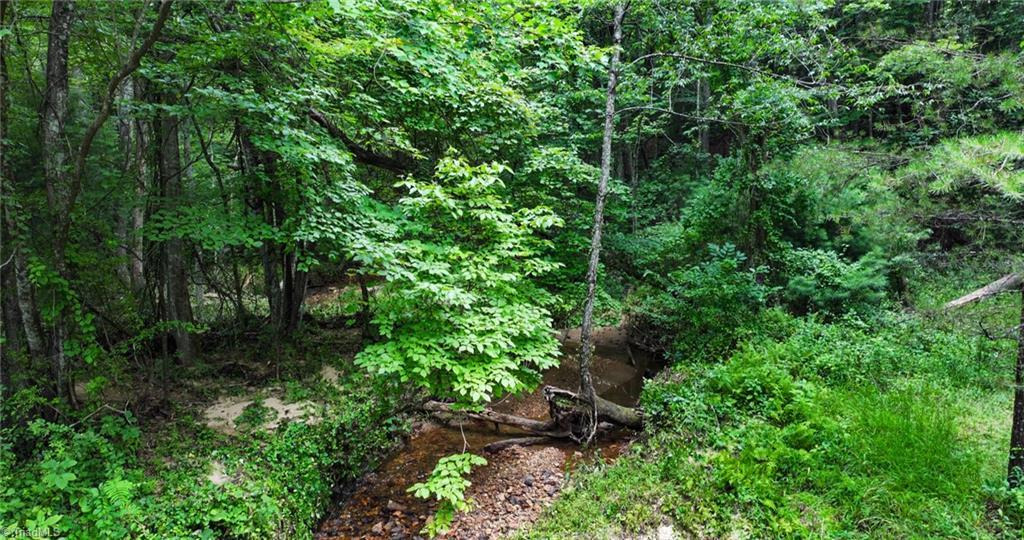 Image 4: Creek on the lot