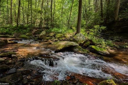 1612 Fall Creek Road