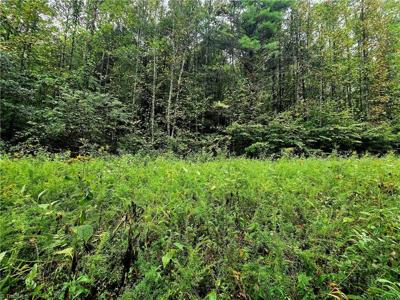 Lot 6 & 7 N Old NC Highway 16