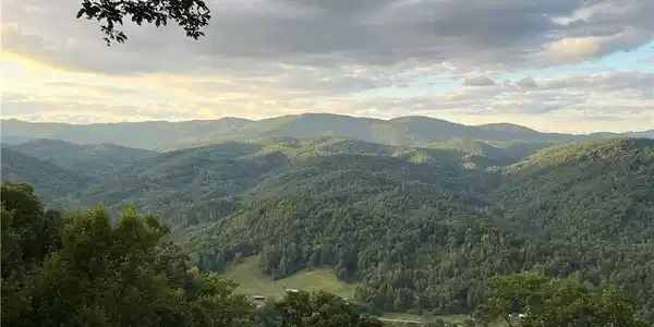 Image 2: View From Front Porch