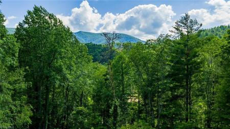 Lot 3 north fork new river Road