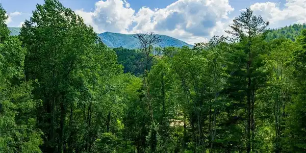 Lot 3 north fork new river Road