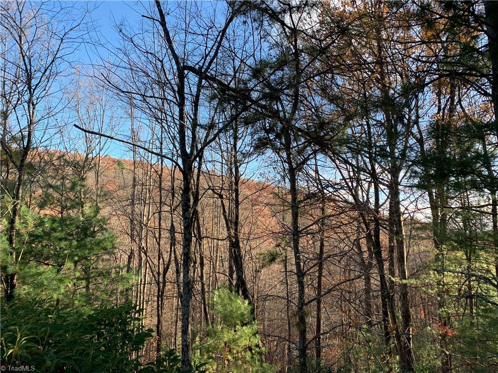 Image 1: Mountain Views