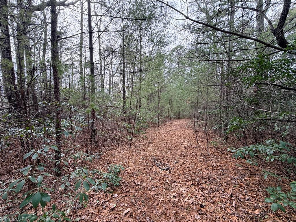 Image 2: Old Driveway Into Top of Property