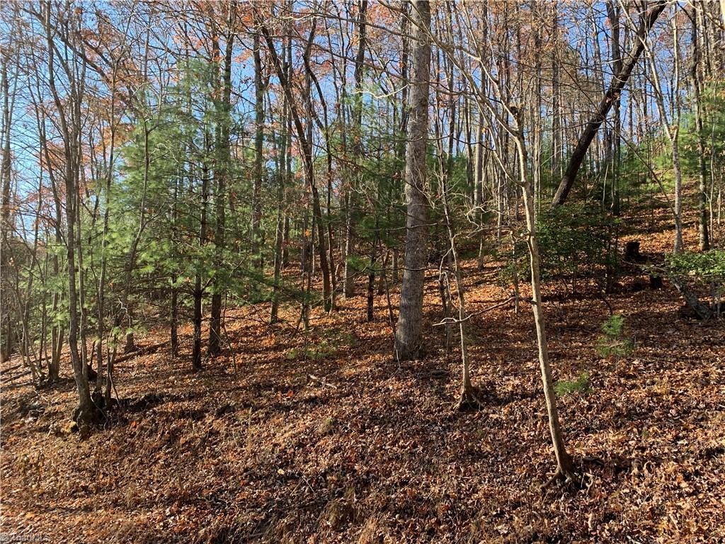 Image 4: Sloping Lot with Access from Top
