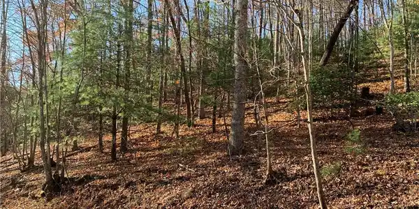 Image 4: Sloping Lot with Access from Top