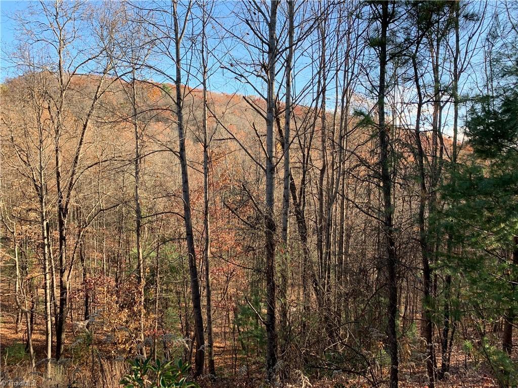 Image 1: Mountain Views