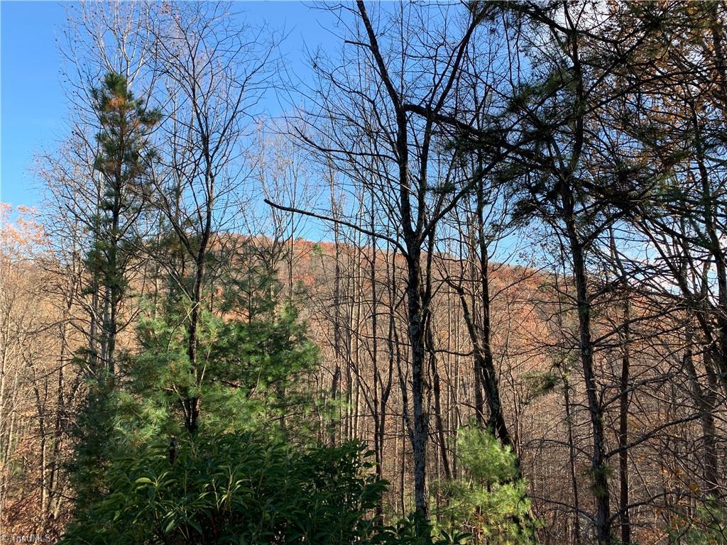 Image 3: Mountain Views