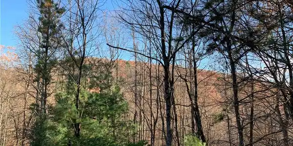 Image 3: Mountain Views