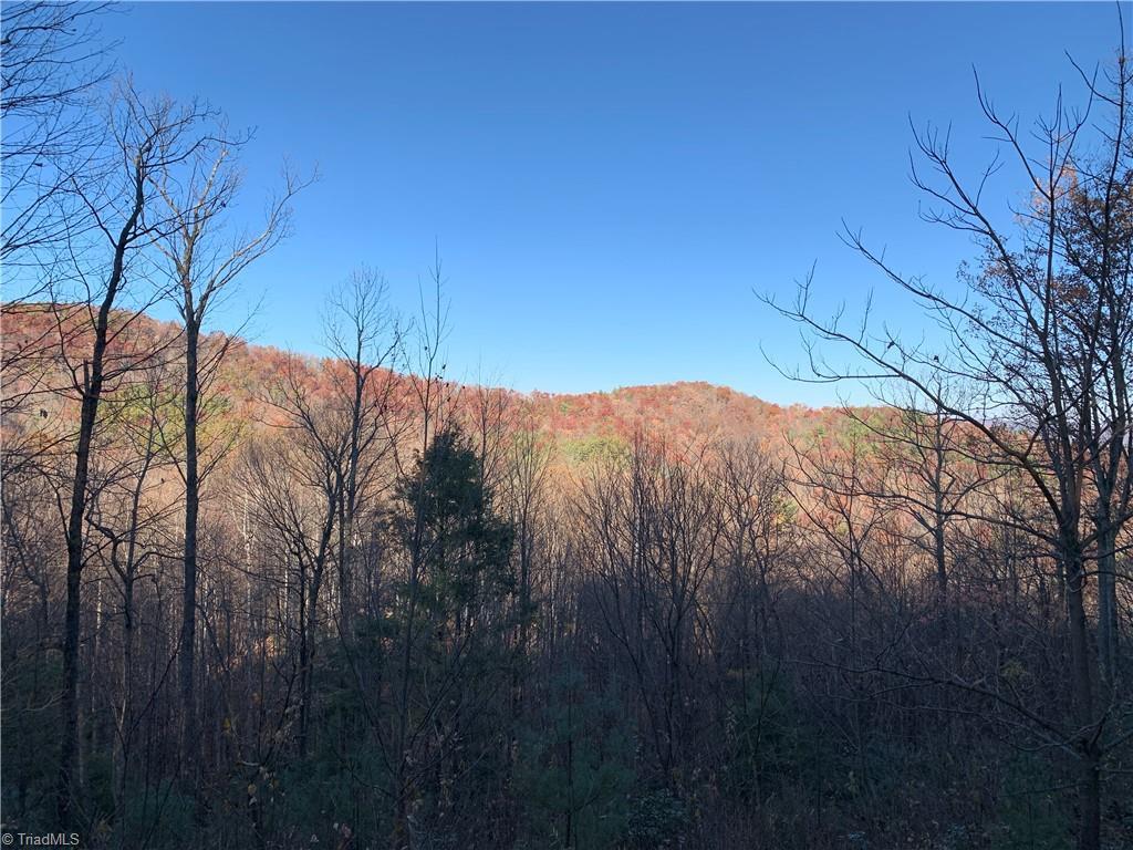 Image 1: Mountain Views from Homesite