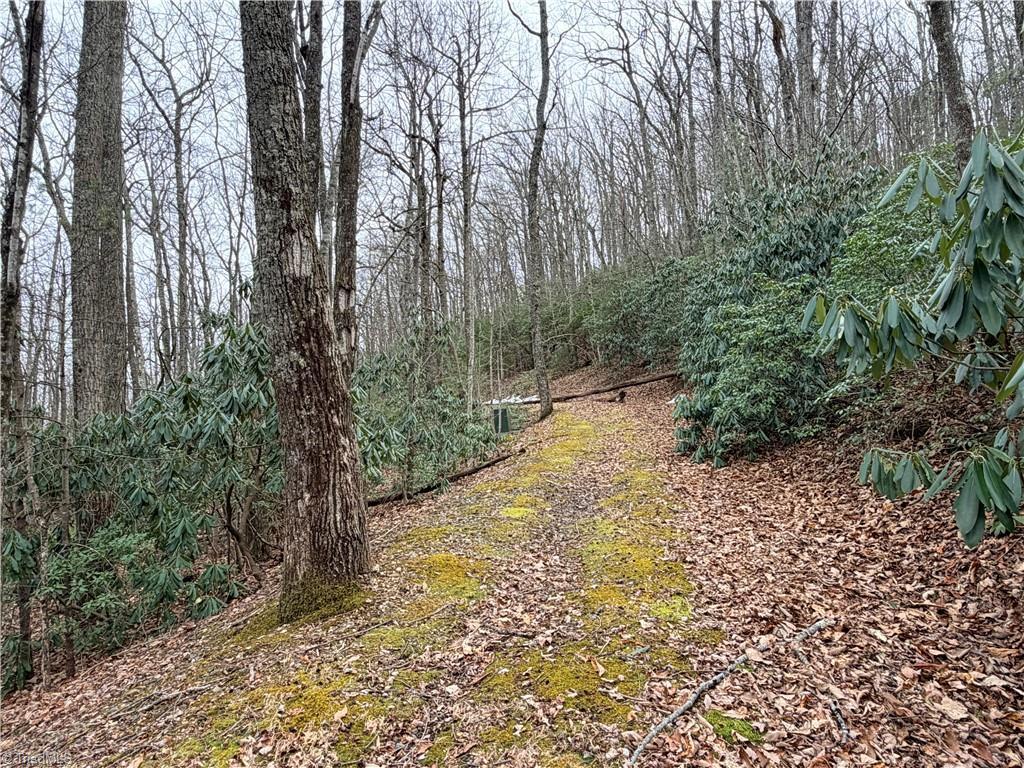Image 2: Driveway Into Property