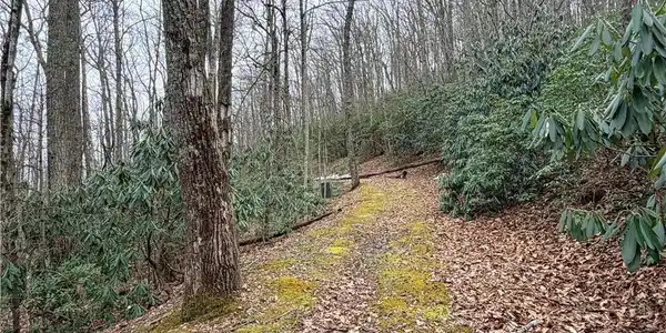 Image 2: Driveway Into Property