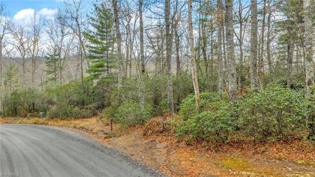 75 Trailwood Drive