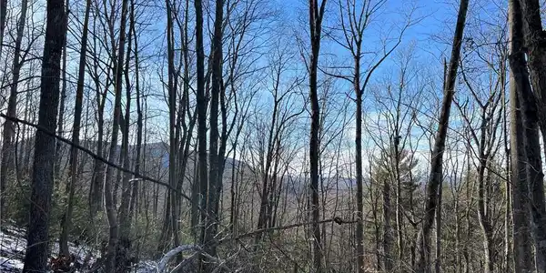 TBD (Lot 8) Woodland Ridge