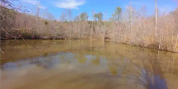 3331 NC Highway 66 S