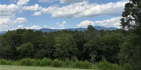 Image 2: the view from the back porch