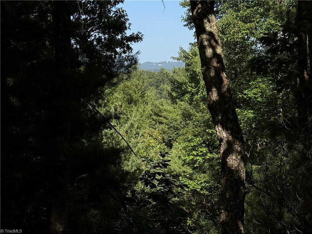 Image 4: Long Range View Potential from Lot 171