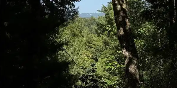 Image 4: Long Range View Potential from Lot 171