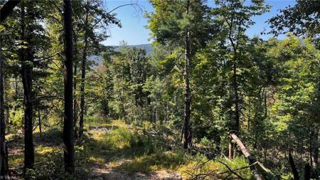 725 Caseys Branch Road